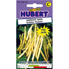 50 Graines de Haricot nain Golden Teepee - Format Petit Jardin