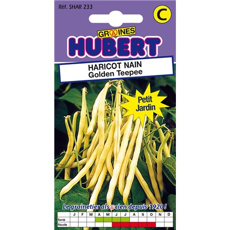50 Graines de Haricot nain Golden Teepee - Format Petit Jardin