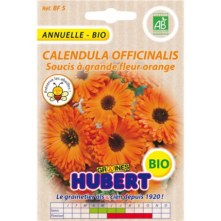 Graines de Calendula Officinalis Soucis à grande fleur orange BIO - 2 grammes