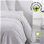 Parure de lit - TODAY - 240 x 260 cm - Coton 100% - Organic - GOTS et oeko-Tex