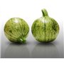 25 graines à semer - Le Grenier d'Abondance - COURGETTE Ronde de Nice - Curcubita Pepo