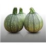 25 graines à semer - Le Grenier d'Abondance - COURGETTE Ronde de Nice - Curcubita Pepo