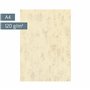 Brunnen Papier universel multi-usages Chamois marbré 80 g/m² Format A4