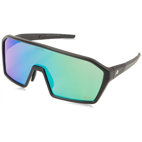 ALPINA Ram Q-Lite Lunettes de Soleil