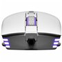 Souris Gaming Evga X12 Blanc