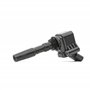Delphi Technologies GN10631-12B1 Bobine D'Allumage