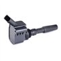 Delphi Technologies GN10631-12B1 Bobine D'Allumage