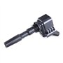 Delphi Technologies GN10631-12B1 Bobine D'Allumage