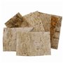 FloristryWarehouse écorce de Bouleau Feuilles (Lot de 7) : 24 x 17 cm
