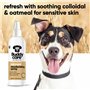 Buddycare | Spray Déodorant pour Chiens - Spray Déodorant Apaisant pour Chiens - Avec Aloe Vera & Pro Vitamine B5, Farine d'Avoi