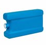 BranQ - Home essential PP 5901098169127 Insert de Refroidissement Universel réutilisable en Plastique sans BPA pour Sac Isotherm
