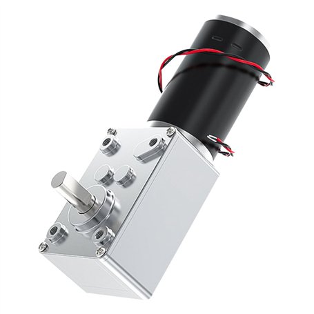 DeWIN Moteur à Vis Sans Fin Réversible