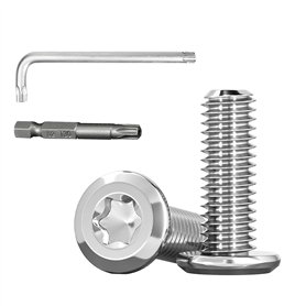 Lot de 30 vis à tête bombée M6 x 16 mm - Entraînement Torx - En acier inoxydable - Pour applications universelles (avec embout à