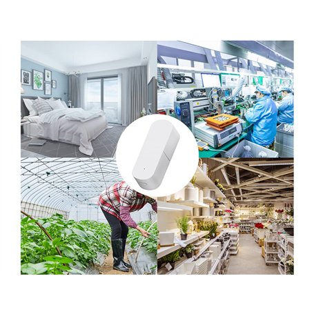 Musuntas 2er 2mm et 4mm roue de modèle avec manche en bois