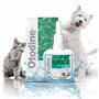 ICF Otodine | Nettoyant Oreille Chien et Chat | Nettoyant Auriculaire Assainissant pour Chien et Chat | Soin pour l'Hygiène et l