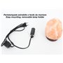 BEPER P201UTP100 Lampe de Sel de l'Himalaya Naturelle - Unique Faite à la Main avec Base en Bois Rose