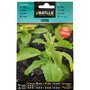 Semillas aromáticas de Battle - Stevia (Seeds - 50cm)