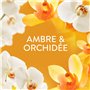 Ambre et Orchidée