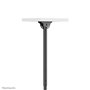 Support de table d'écran Neomounts CL35-440BL16XL 70" 37" 50 kg