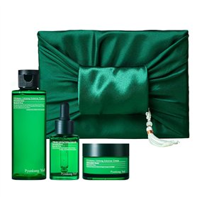[PKY] Pyunkang Yul Set de Soins Coréens