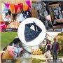 Dadabig 4PCS Bandana Chien, Collier Bandana Chien Bandana Chien Collier Lavable Bandana Chien Écharpe Reglable Bandana Chien Car