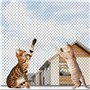Filet De Protection Pour Chat