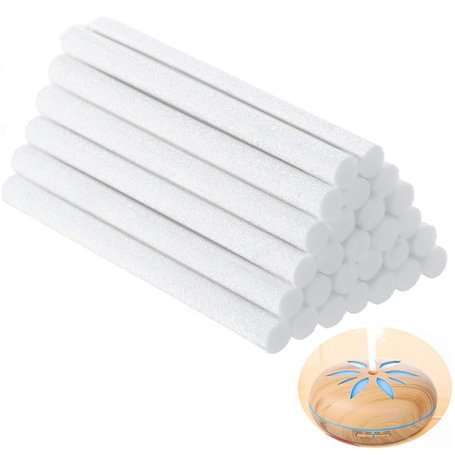 Wxinsheng 10 Pcs Bâtons D'Humidificateur en Coton