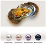 Lot de 4 huîtres rondes en perles d'eau douce de différentes couleurs brillantes et significatives, huîtres avec perles à l'inté