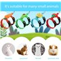 4 Sets Harnais et Laisse réglables pour Lapins Set Petit Animal Mignon Gilet Harnais Laisse Furet Harnais Cochon d'Inde Laisse F