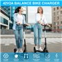 Chargeur Hoverboard Trotinette: 42V 2A Chargeur Trotinette Electrique avec 6 connecteurs pour Scooter électrique, Chargeur Trott