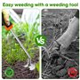 mizikuu Outil de Désherbage Manuel, 4 Dents Outil de Desherbeur Jardinage Arrache Mauvaise Herbe Acier Inoxydable avec Long Manc
