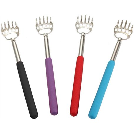 Gratte-dos Acier Inoxydable