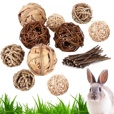 Vegena Lot de 10 boules à mâcher Cochon d'Inde - Petits animaux à mâcher - Balles naturelles avec bâtonnets de branche de pomme