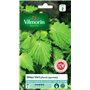 Vilmorin - Shiso Vert -Plante annuelle - Facile à réussir - Feuilles Graphiques décoratives -Incontournable dans la Cuisine Japo