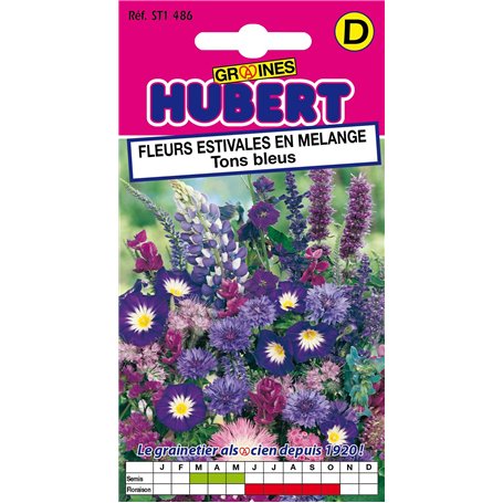 Graines de Fleurs Estivales en Mélange Tons Bleus Pour 1 m² - 2 grammes