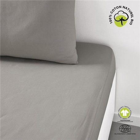 Drap housse - TODAY - 180 x 200 cm + 30 cm - Coton - Organic Dune