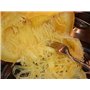 10 Graines à semer - Le Grenier d'Abondance - COURGE SPAGHETTI Vegetal - Cucurbita pepo