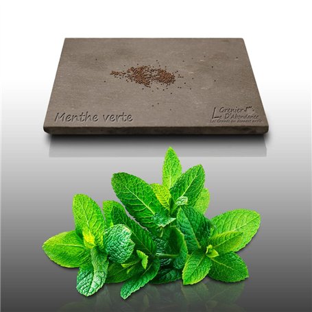 250 graines Aromatiques à semer - Le Grenier d'Abondance - MENTHE Verte - Mentha viridis