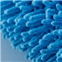 PARENCE.- Plumeau Microfibre Télescopique – Manche Extensible 25 à 75 cm | Tête Détachable Lavable | Attrape-Poussière pour Meub