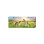 Playmobil 71000 2 poneys islandais et poulains - Country - avec Quatre Chevaux et du Foin - Univers Equitation Animaux - Animaux