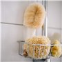 Croll & Denecke Brosse pour le bain avec poils en sisal