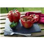 Casserole avec Couvercle Zwilling Cocotte Pepper Rouge