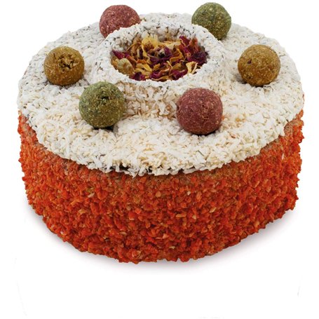 JR FARM Gâteau Rongeur 200 g