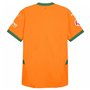 Maillot de Football à Manches Courtes pour Homme Puma Valencia C.F. 3ª Equipación