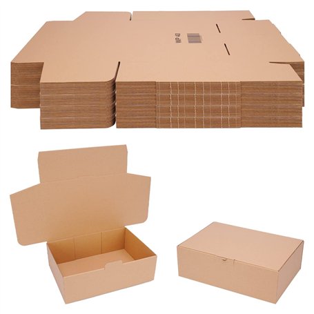 verpacking Boîtes pliantes 310 x 215 x 100 mm Marron (dimensions extérieures 315 x 220 x 105 mm) WP 40 Carton d'expédition DHL C