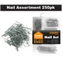 Lot de 250 clous assortis