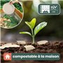 HAAGO 20 Bols en Feuilles de Palmier (180ml, Ronds) Compostables et Jetables - Vaisselle de Pique-nique et d'Extérieur Écologiqu