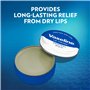 vaseline liptherapy original