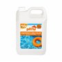 BSI - pH Up Liquide - Pour Augmenter pH de Piscine ou Spa - 5 L