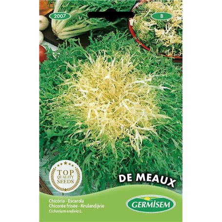 Germisem graines Chicorée frisée de Meaux EC2007 Multicolore